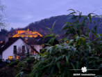 Blick auf die Burg - BERK Immobilien – Leben mit Aussicht – Idyllisches Grundstück mit Weitblick über Weinberge und Burgkulisse