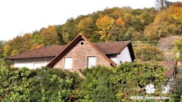 RESERVIERT – Charmantes Einfamilienhaus direkt am Weinberg in sonniger Lage von Großheubach - Außenansicht (115965)