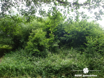 BERK Immobilien – Vielfältig bebaubares Grundstück in ruhiger Lage - Ansicht von unten (115007)