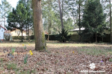 BERK Immobilien – ++Mainlage++ Traumgrundstück Am Schwalbennest – Teilbar!! 295,00/m² - Ansicht 8 (114922)