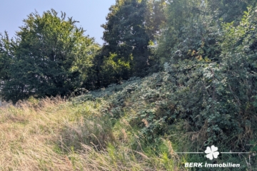 BERK Immobilien – Baugrundstück in Ochsenfurt mit Gestaltungsspielraum - Grundstück (115317)