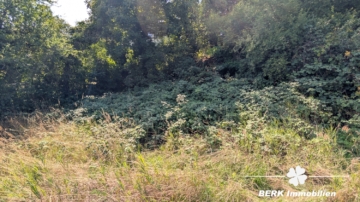 BERK Immobilien – Baugrundstück in Ochsenfurt mit Gestaltungsspielraum - Grundstück (115320)