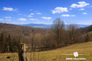 BERK Immobilien – Einfamilienhaus mit Weitblick & außergewöhnlichem Grundstück - Aussicht aus dem Garten (116395)