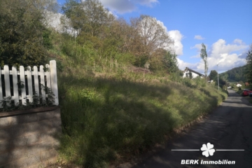 BERK Immobilien – Naturnahes sonniges Baugrundstück – Platz für zwei Wohnhäuser in Rippberg/Walldürn - Bild (115011)