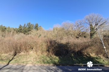 BERK Immobilien – Naturnahes sonniges Baugrundstück – Platz für zwei Wohnhäuser in Rippberg/Walldürn - Bild (115012)