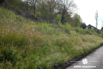 BERK Immobilien – Naturnahes sonniges Baugrundstück – Platz für zwei Wohnhäuser in Rippberg/Walldürn - Bild (115010)